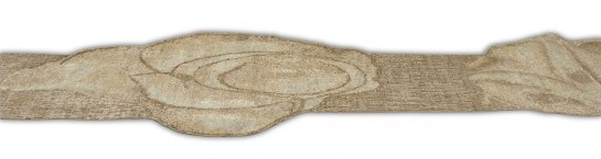 AM12667