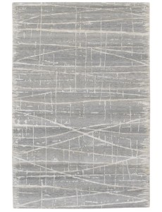 AM12669