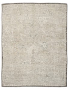 AM12869