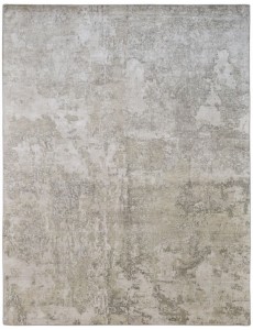 AM11673